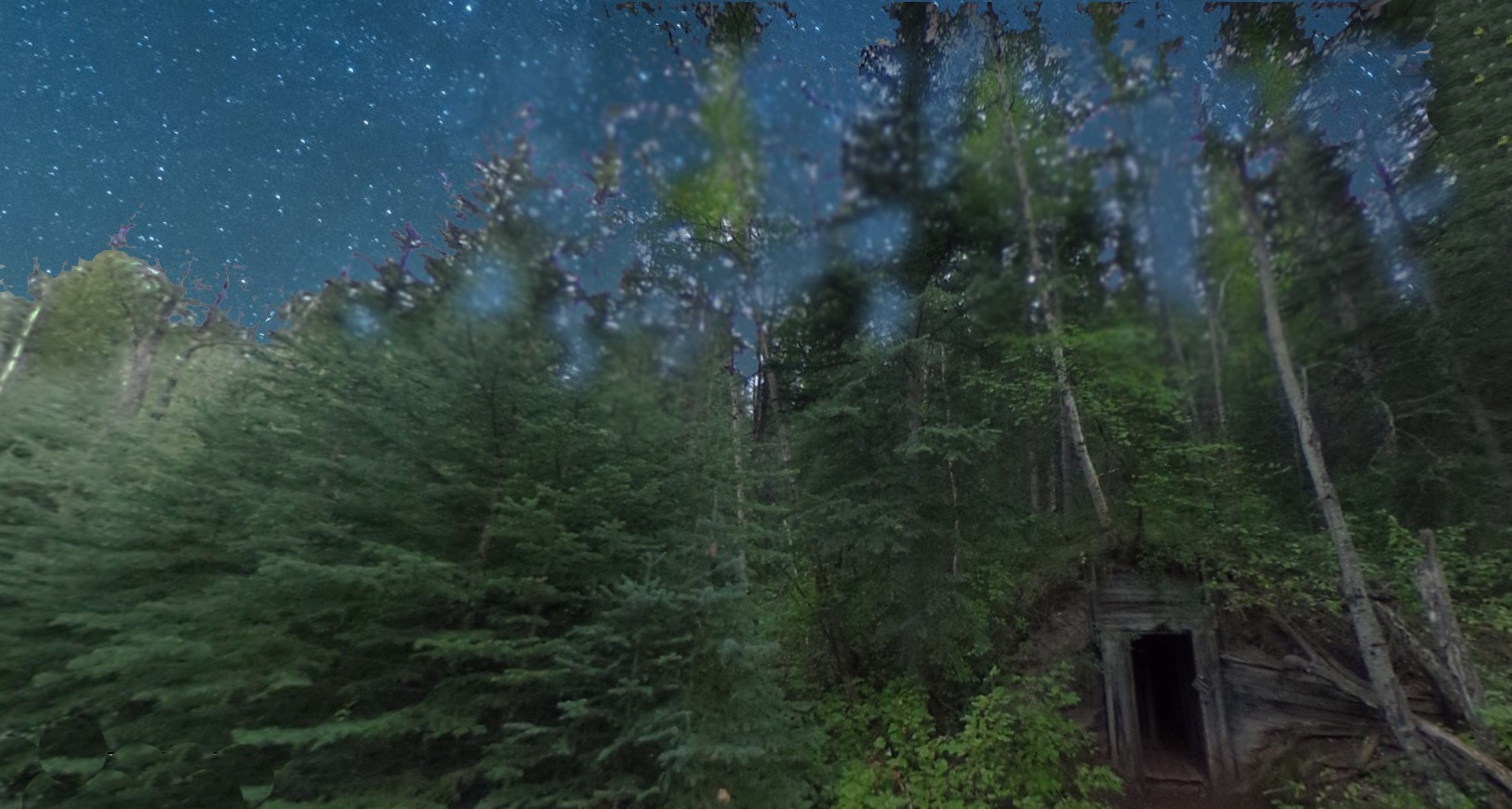 Ghost Town & Galaxies (+BBQ) Image 4 a tree in a forest